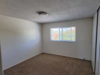 Back Bedroom