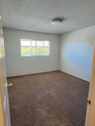 Back Bedroom