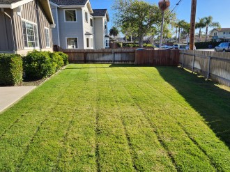 Front Yard