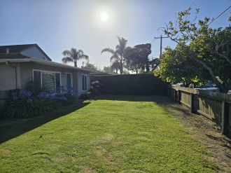 yard