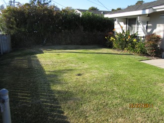 Fenced Yard