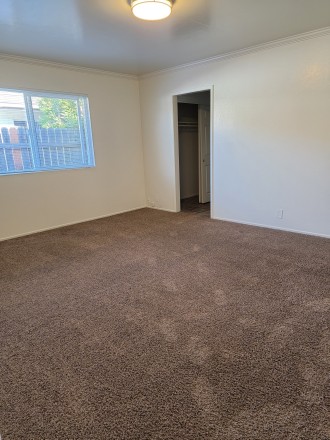 Back Bedroom
