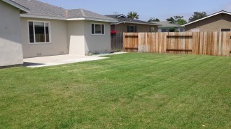 Backyard1