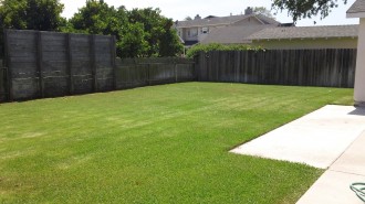 Backyard2